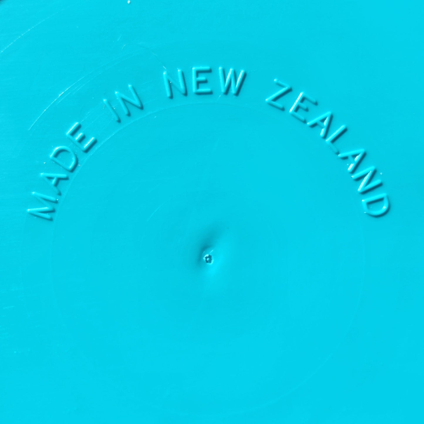 Frisbee - holeycoley.nz