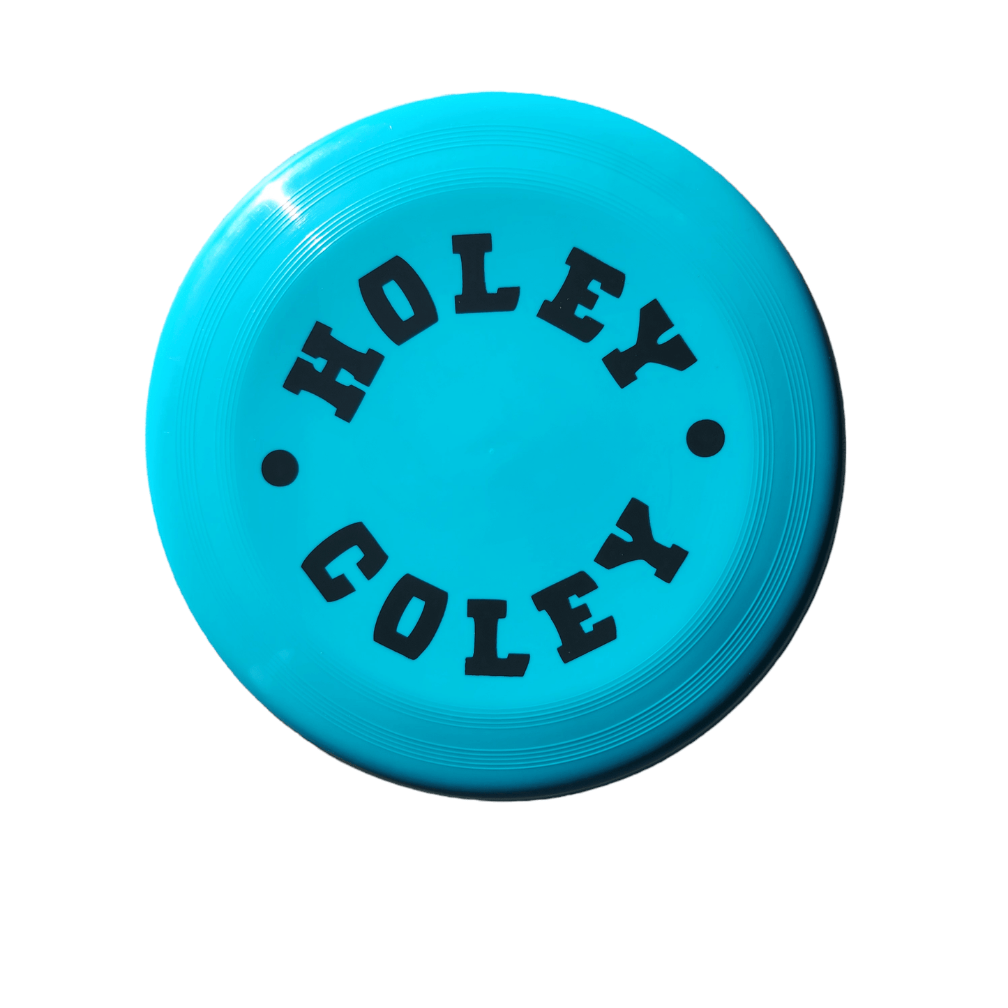 Frisbee - holeycoley.nz