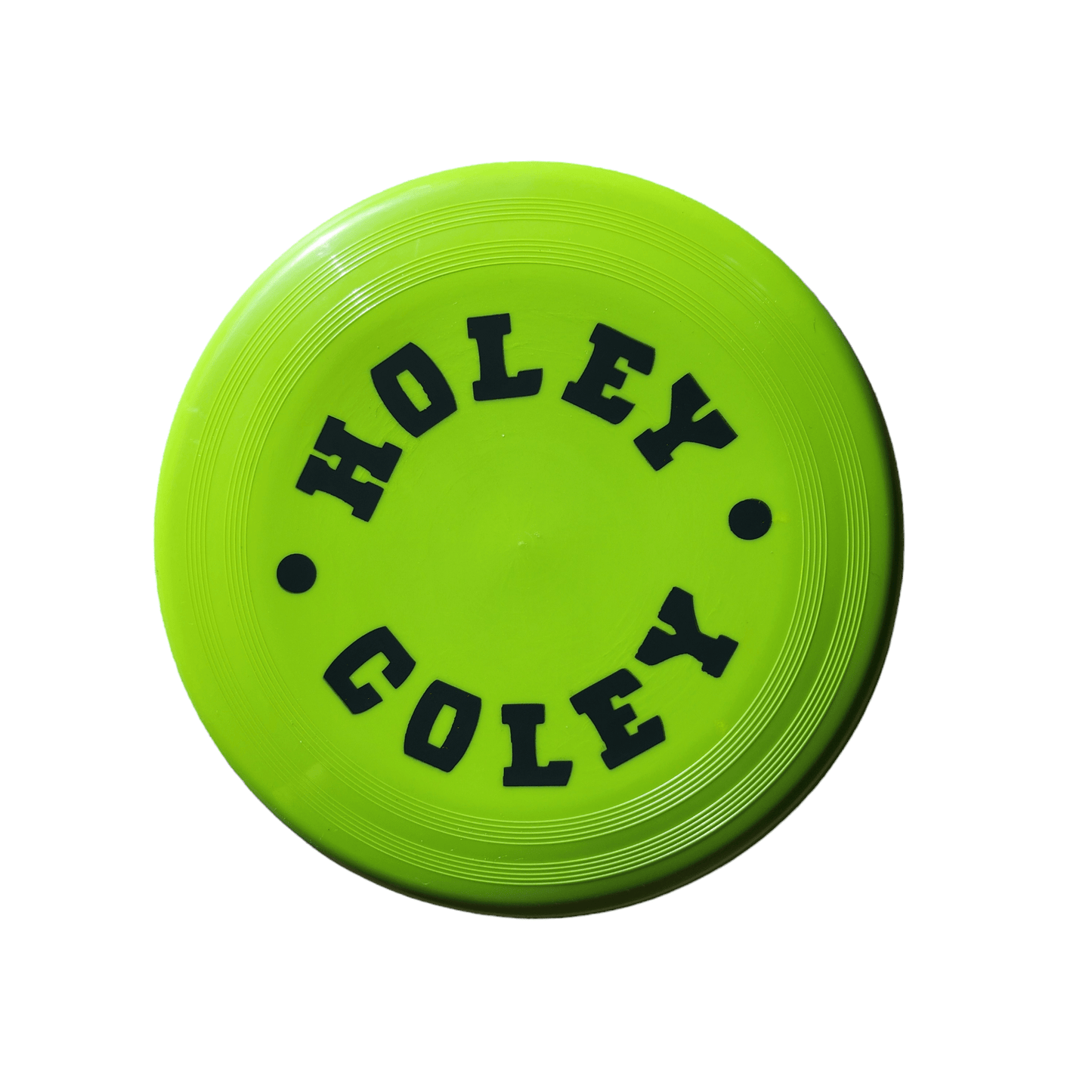 Frisbee - holeycoley.nz