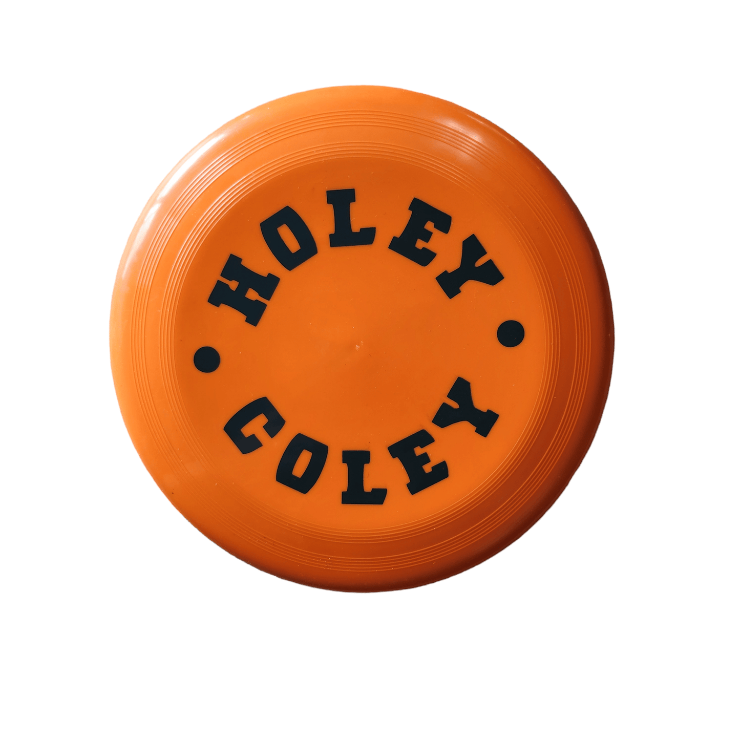 Frisbee - holeycoley.nz